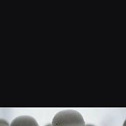 �������, 43 ����, ����������