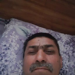 , 57, 