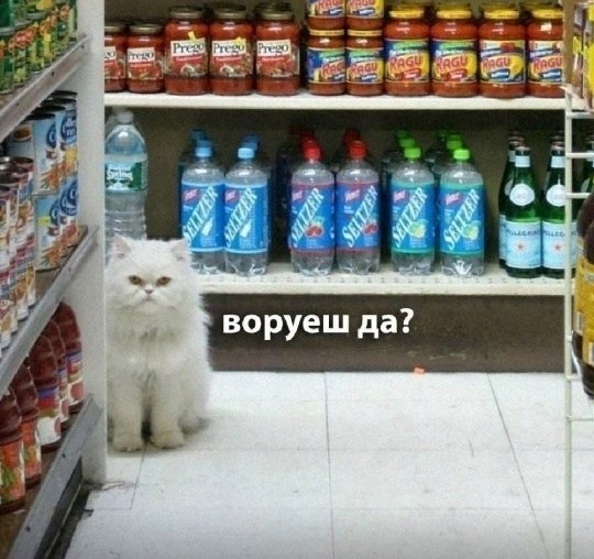 : *   *.:
