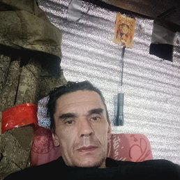 , 49 , 