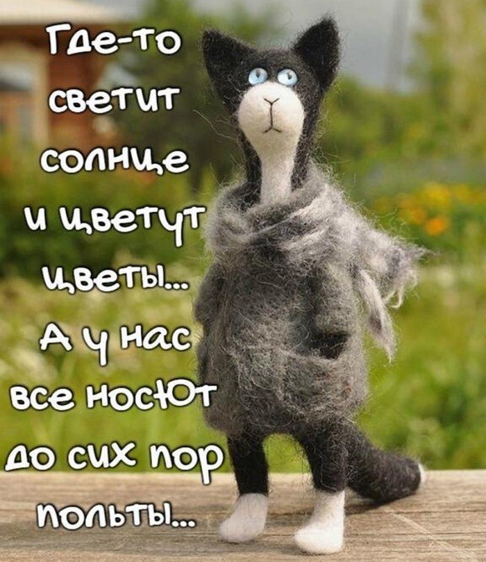   - 6  2025  10:30