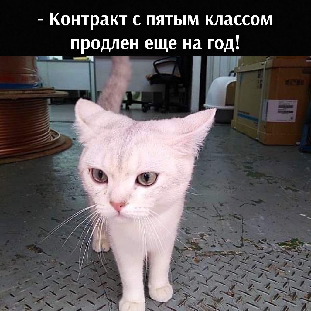 ��� ���� � ����� �� �� - 23 ����� 2026 � 13:00 - 3