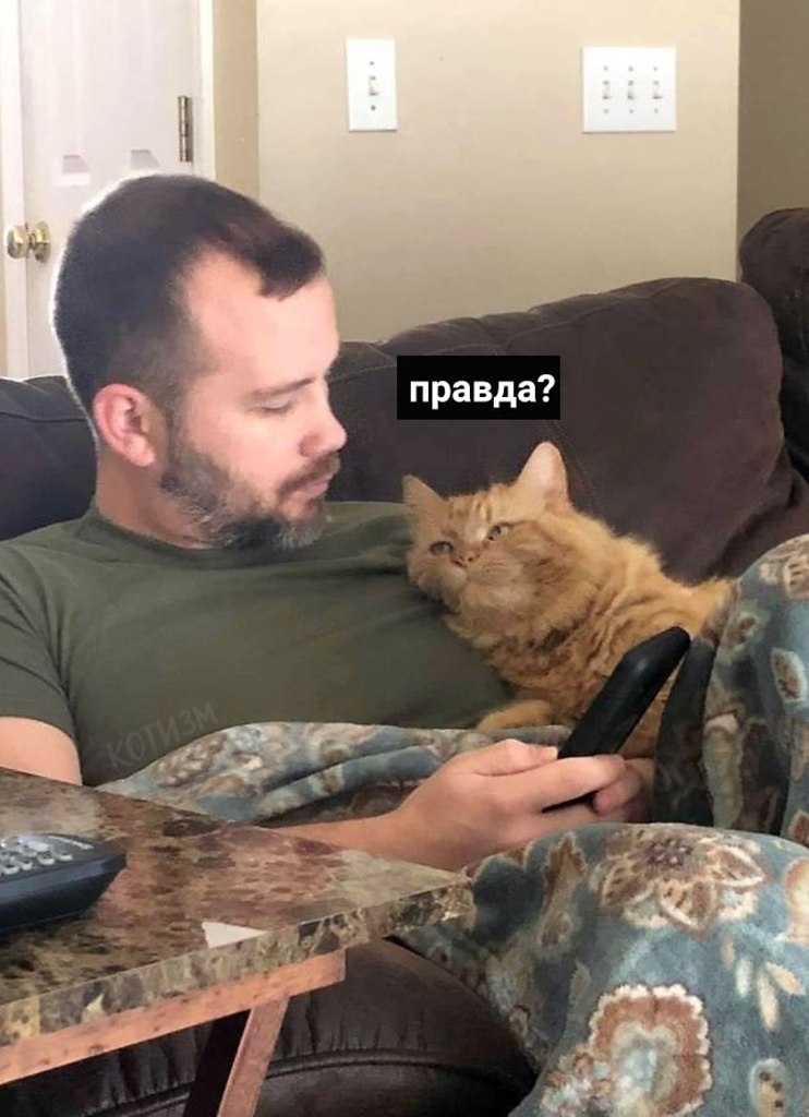 Жиза прям такая - 4