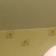 ���, 42 ����, �����