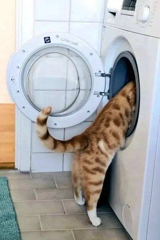 ���� � ������ � �������