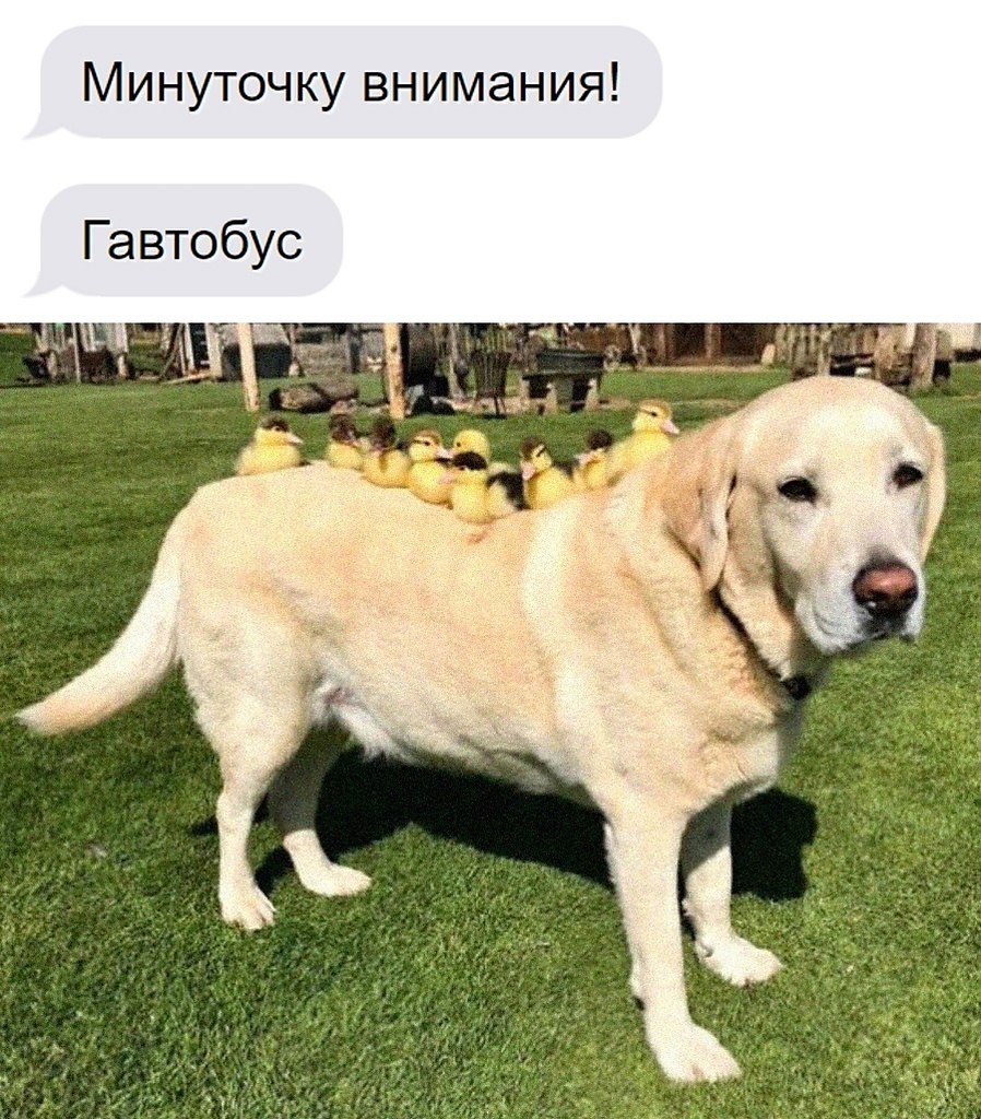    - 1  2025  16:33