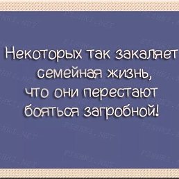 ���� �����, ����, 66 ��� - ��������� 30 ������ 2026
