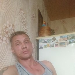 , 44, 