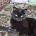 ���� �������, ��������, 62 ���� - ��������� 20 ������ 2025 � ������ ������ ��������