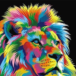 Giorgi, �����������, 49 ���