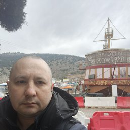 ������, 41 ���, ������