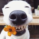���� �, ������, 63 ���� - ��������� 21 ������� 2025 � ������ ���� ����������