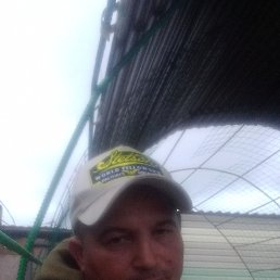 Zohit, 45, 