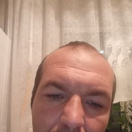 �����, ������, 37 ���