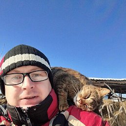 ���� ������, ������, 43 ���� - ��������� 31 ����� 2026