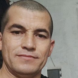 ������, �����-���������, 41 ���