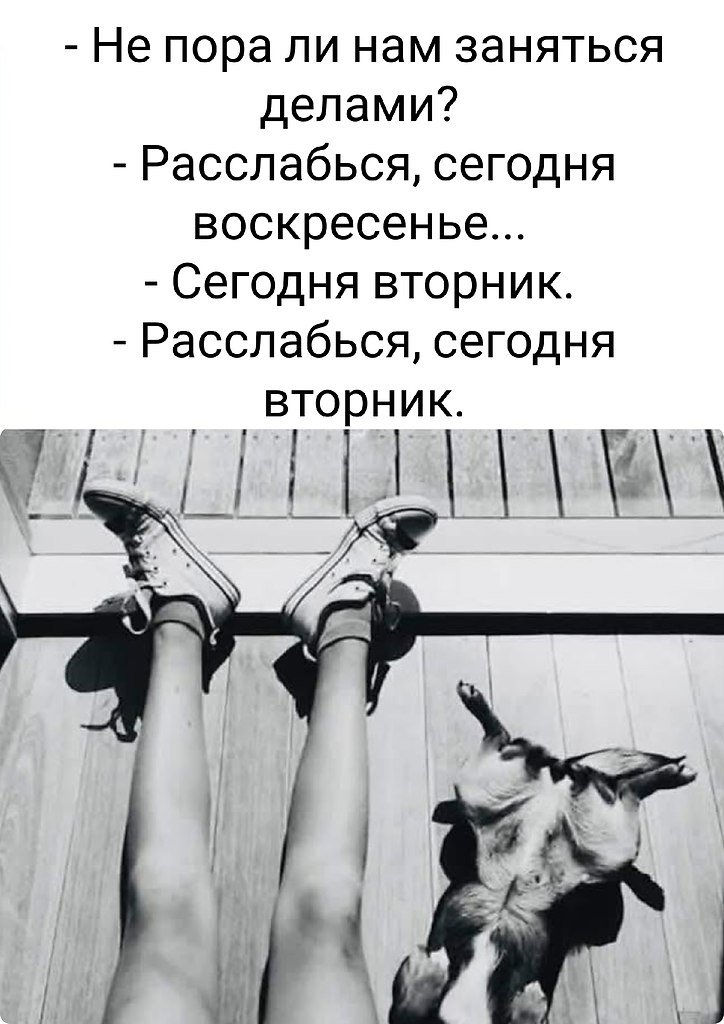 �������� ������� - 19 ��� 2026 � 09:58