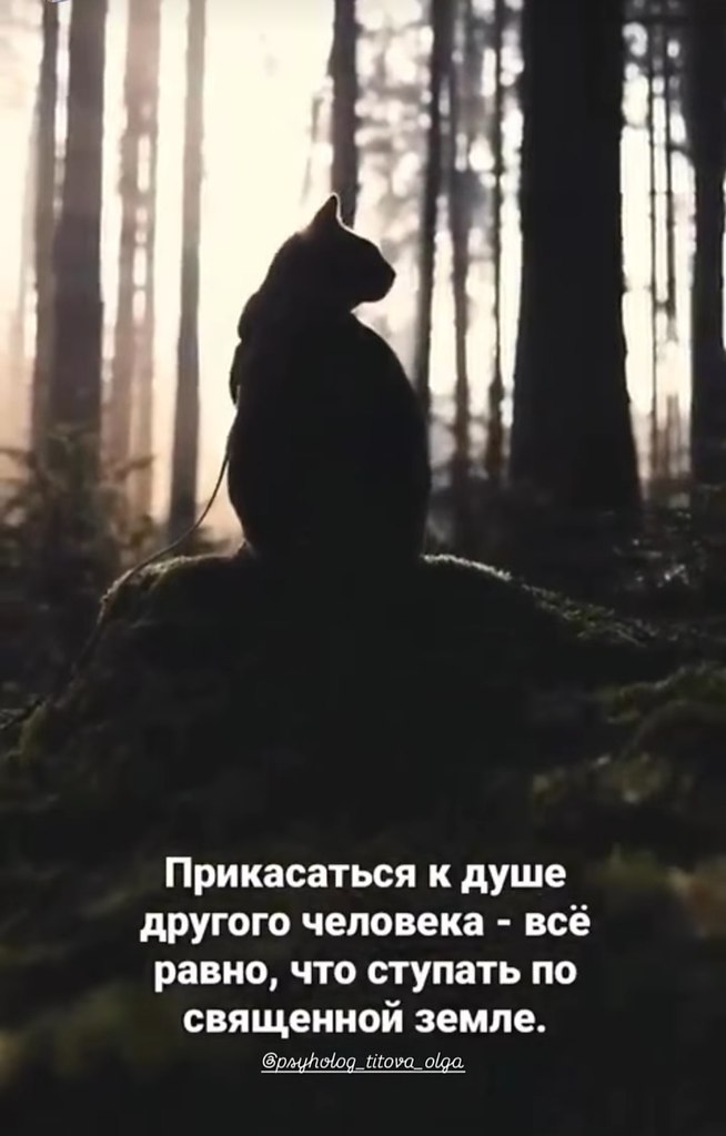   - 31  2025  03:42