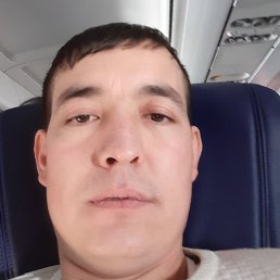 ����, �����-���������, 36 ���