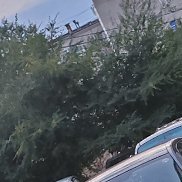 ������, 23 ����, ������������