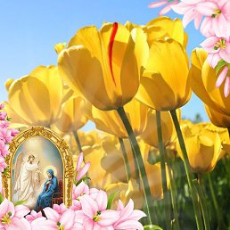 ��������, �����, 53 ����