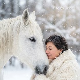 ���� �������, ���������, 48 ��� - ��������� 7 ������ 2026