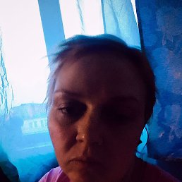 ����, ������, 41 ���