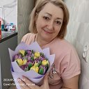 ���� �������, �����-��������� - ��������� 17 ������� 2026 � ������ ���� ����������