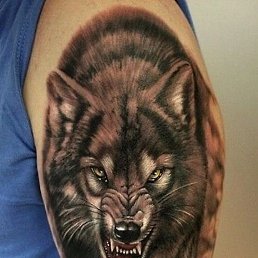 ���������, ������, 36 ���