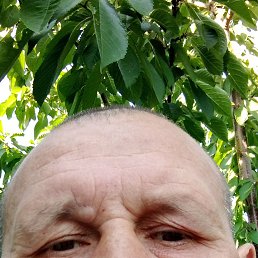 , 45, 