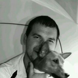 ���� �������, ������, 43 ���� - ��������� 16 ������ 2026