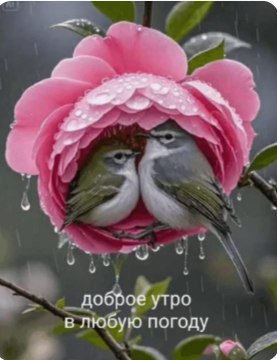 �������� �� ����� ����. - 7 ��� 2026 � 05:41