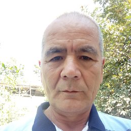 , 51, 