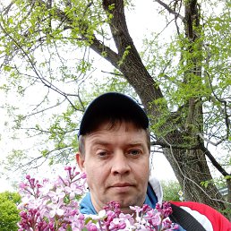 , 38 , 