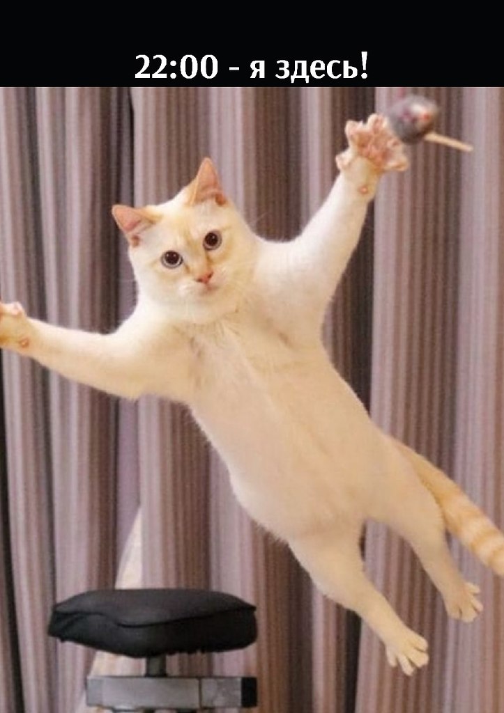       - 20  2025  22:40 - 2