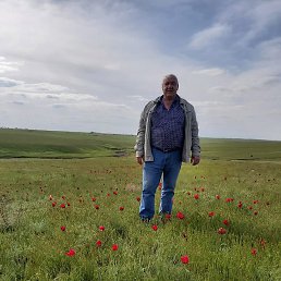 ��������, ������, 62 ����