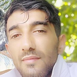 �����, ���������, 42 ����