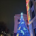 ���� ���, �����, 51 ��� - ��������� 25 ������ 2026 � ������ ������ ��������