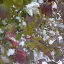 ���� ����, �������, 41 ��� - ��������� 15 ������ 2024 � ������ ������ ��������