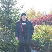 �����, 43 ����, ������