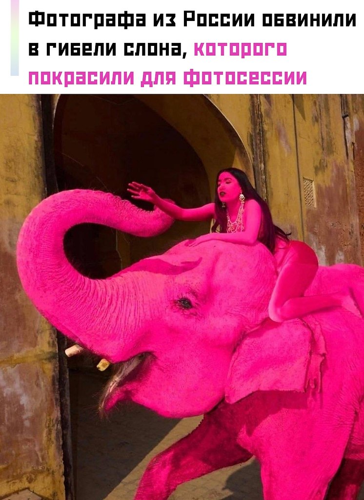 ����������� ��������� ���� �������� �������� � ������ ����� ����� ���������� � ������� 65-������ ...