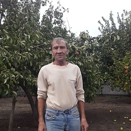  , 51, 