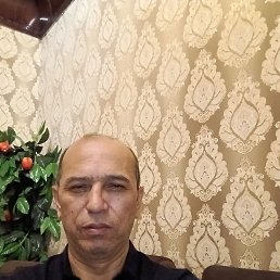 , 54 , 