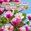 ���� �������, ���� - ��������� 20 ��� 2026 � ������ ������ ��������