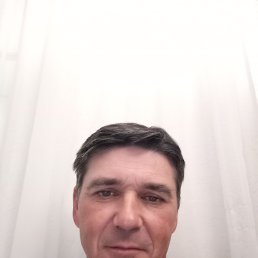 ����, 46 ���, ���������