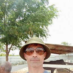 ����, 44 ����, ������������