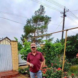 , 63, 