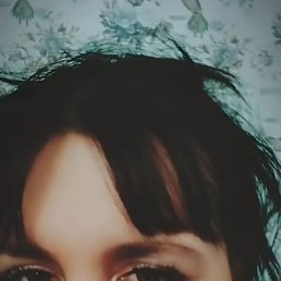 ����������, ���������, 43 ����