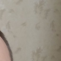 ������, ������, 54 ����