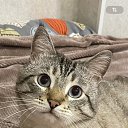 ���� �������, �����������, 57 ��� - ��������� 17 ������ 2025